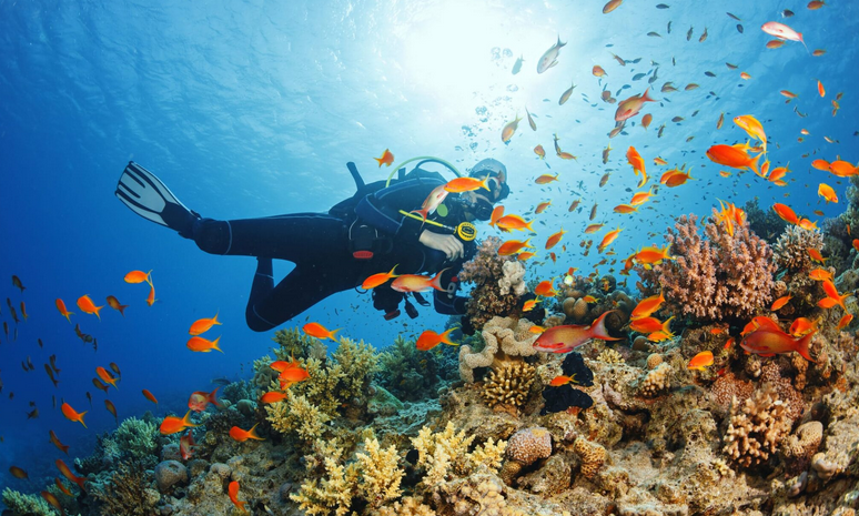 Scuba diver exploring a vibrant coral reef surrounded by tropical fish